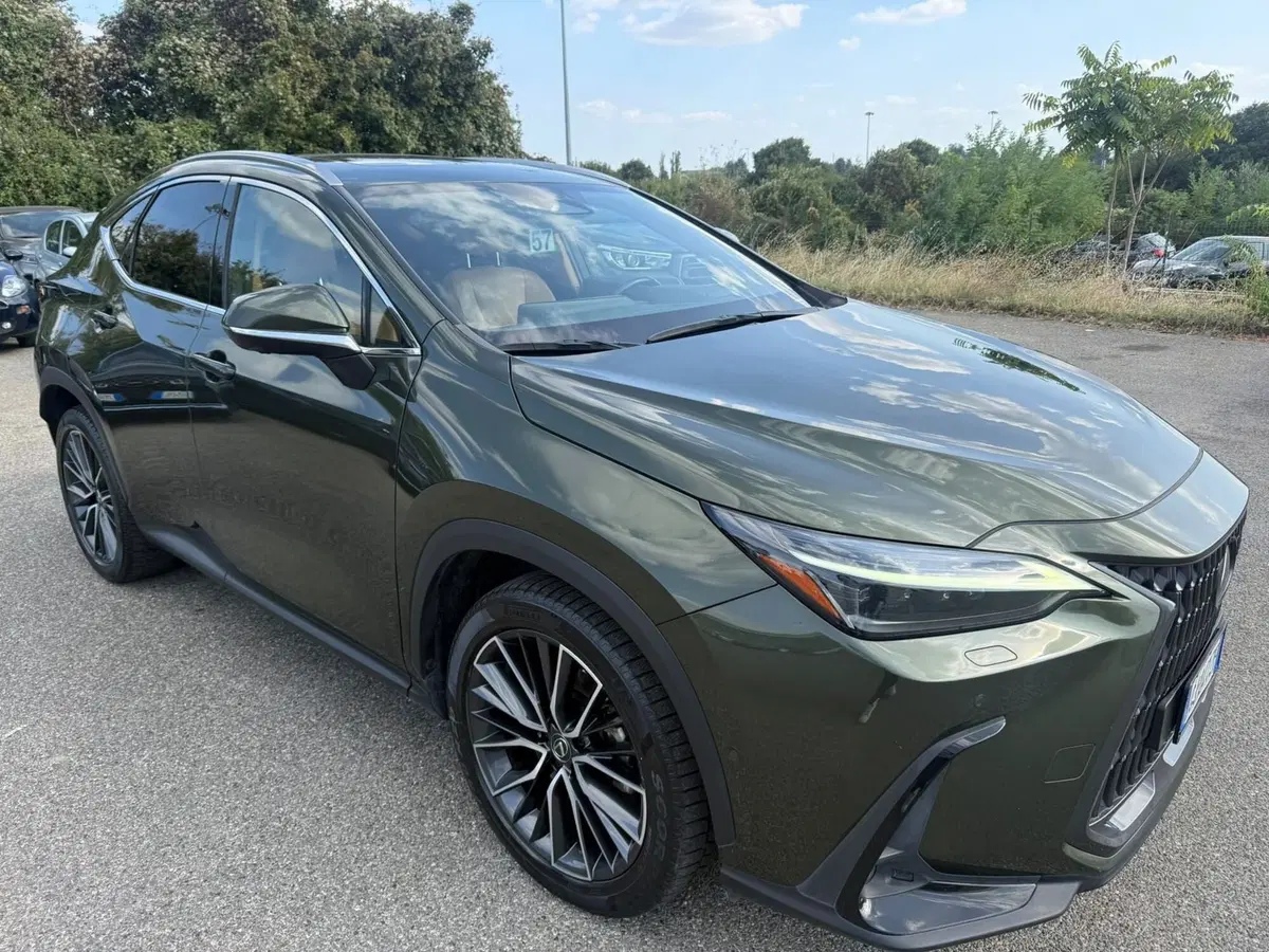 Lexus NX usata a Piacenza (4)
