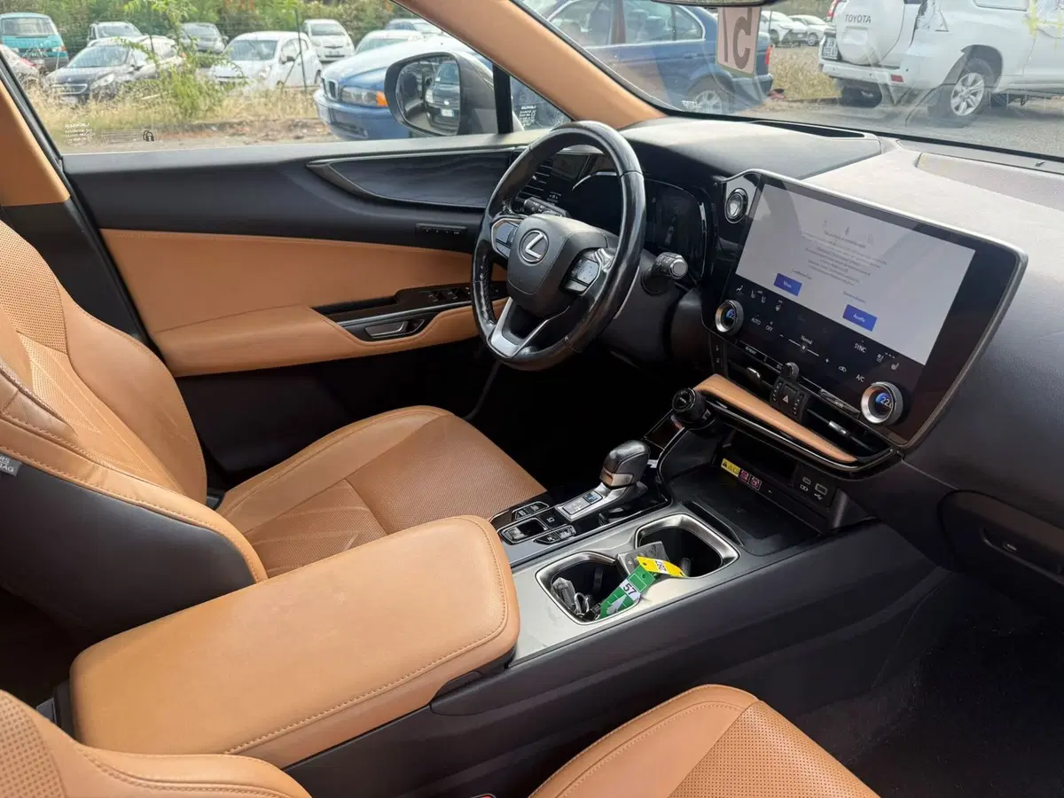 Lexus NX usata a Piacenza (5)
