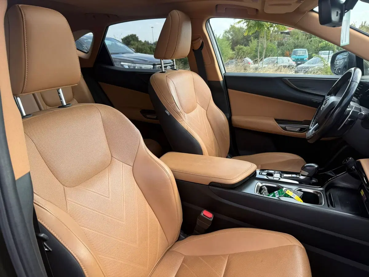 Lexus NX usata a Piacenza (6)