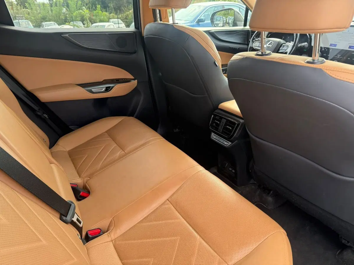 Lexus NX usata a Piacenza (7)