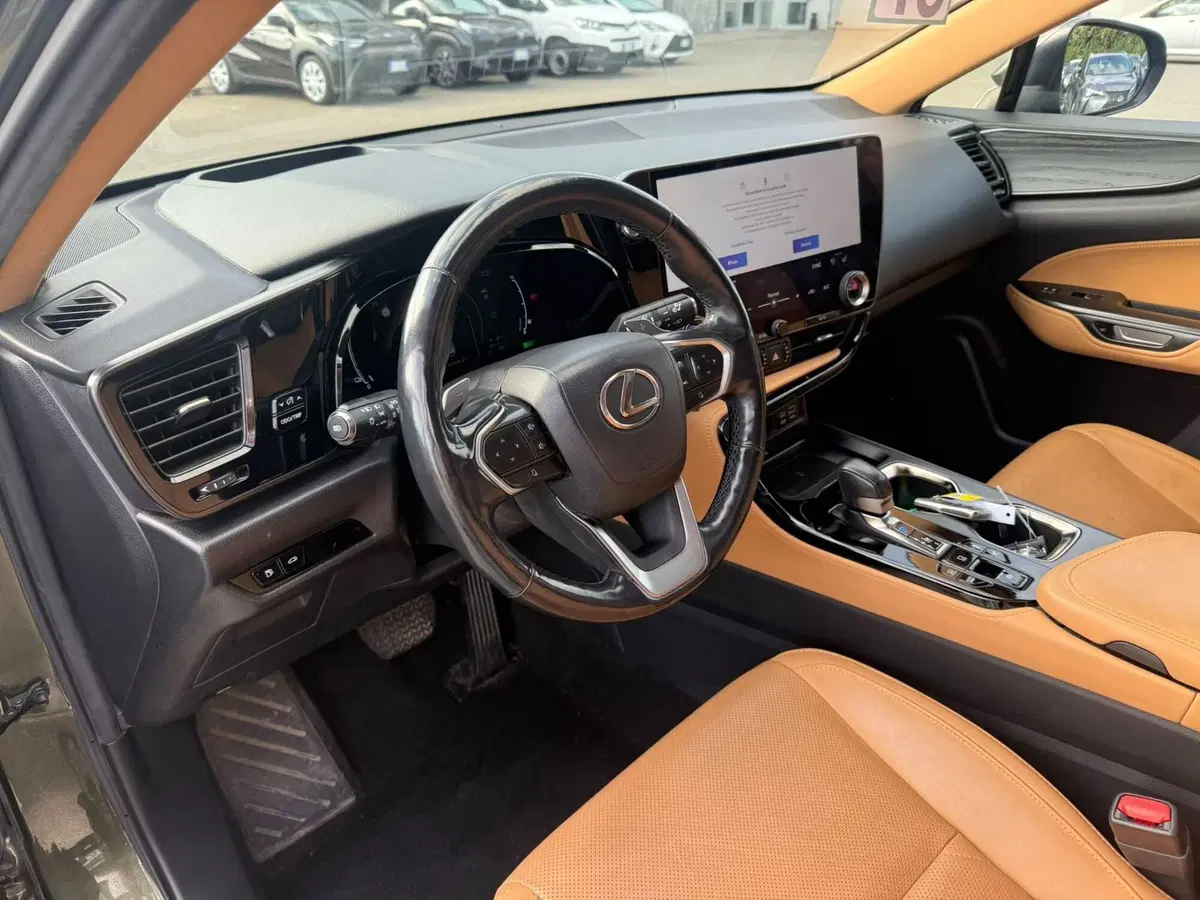 Lexus NX usata a Piacenza (8)