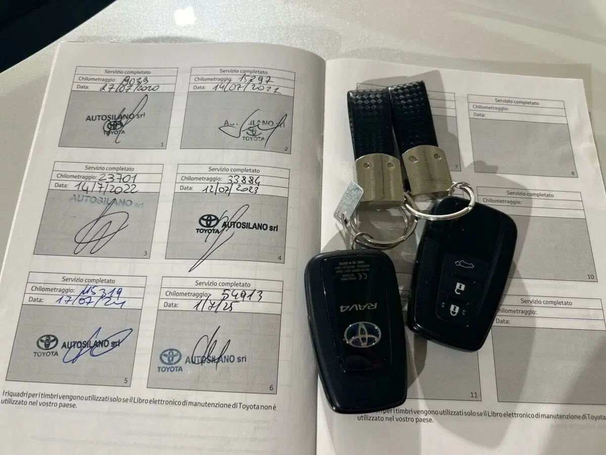 Toyota Rav4 usata a Lecco (16)