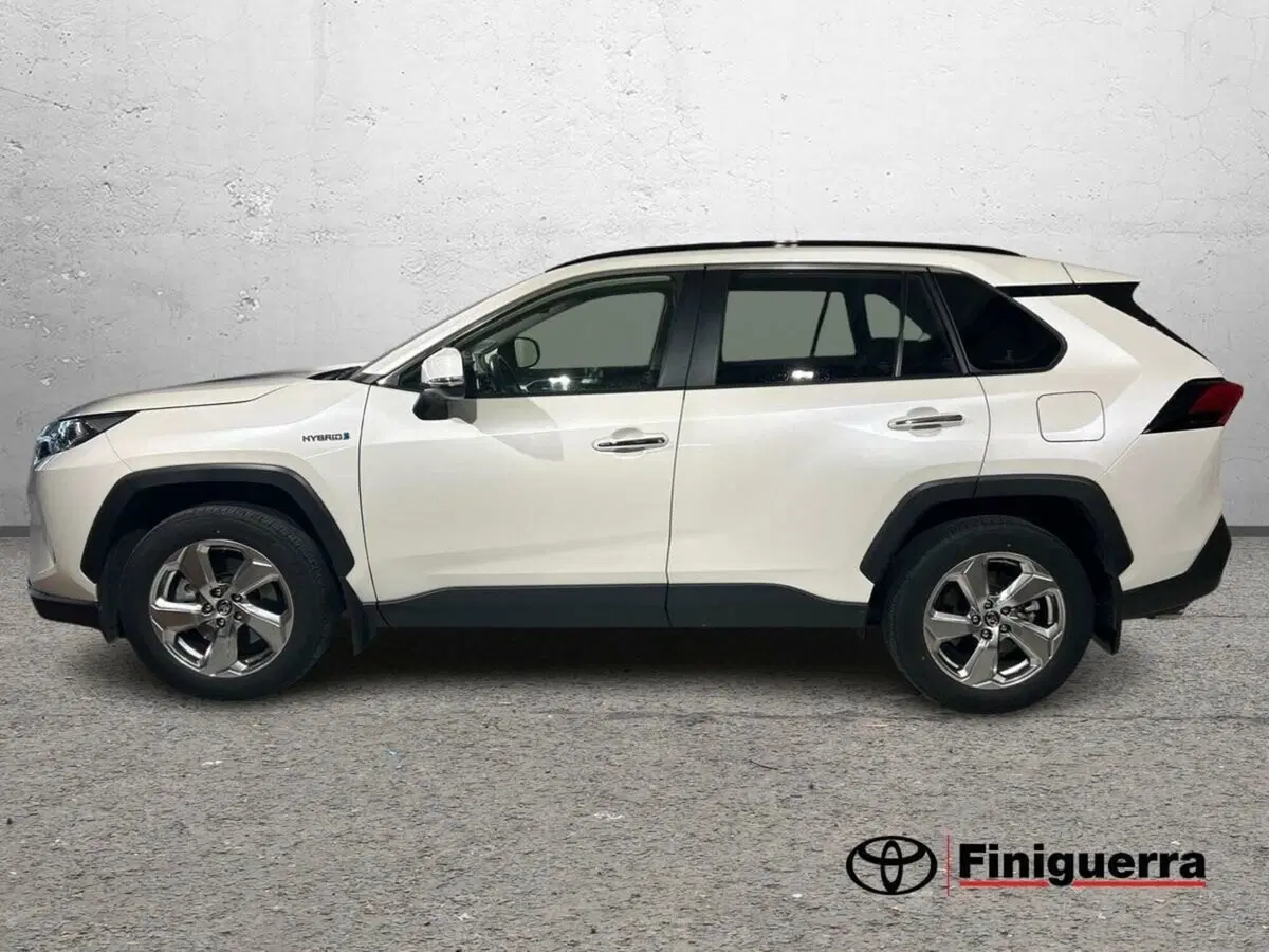 Toyota Rav4 usata a Lecco (6)