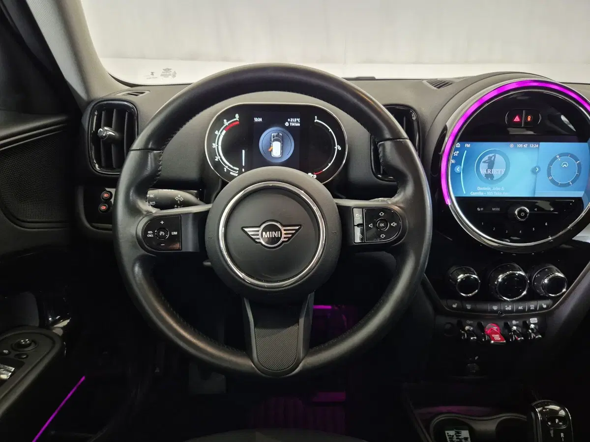 MINI Mini Countryman usata a Torino (10)