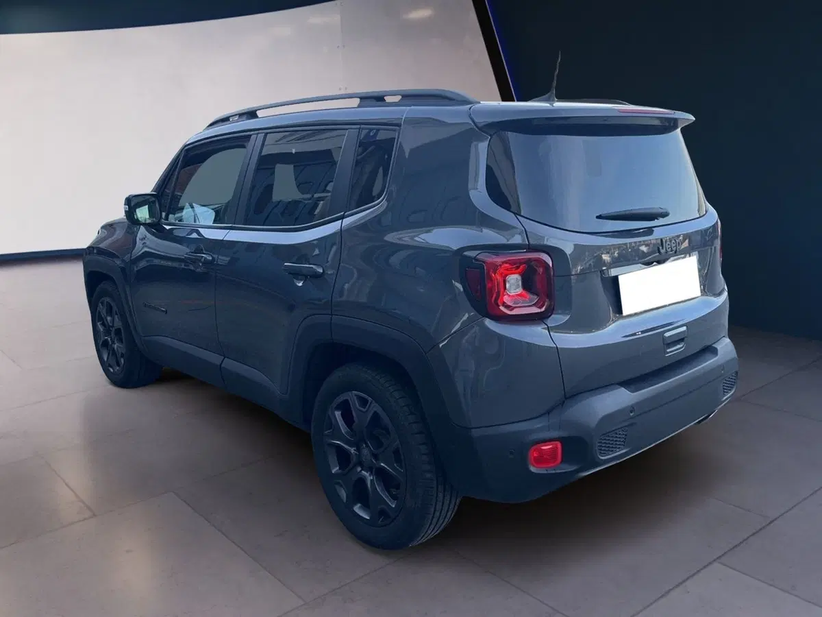 Jeep Renegade usata a Torino (6)
