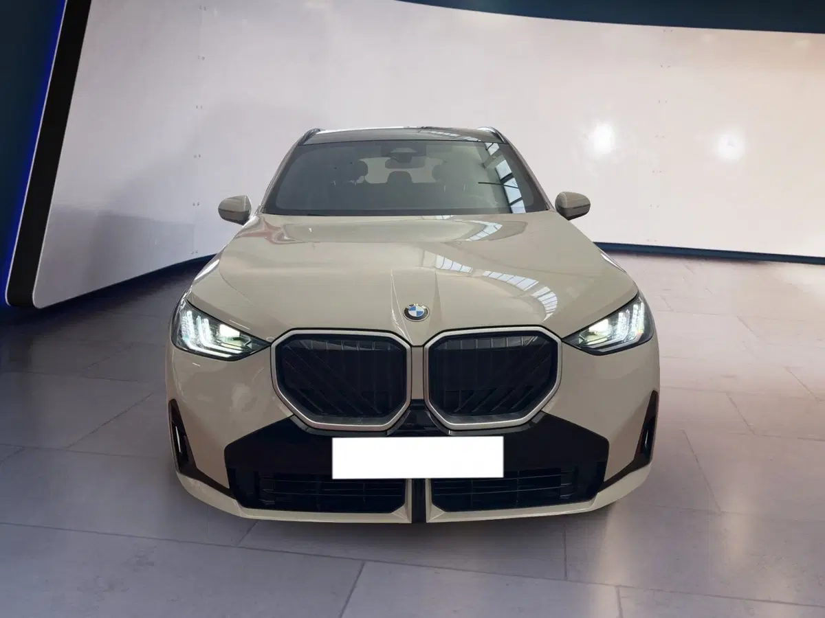 BMW X3 usata a Torino