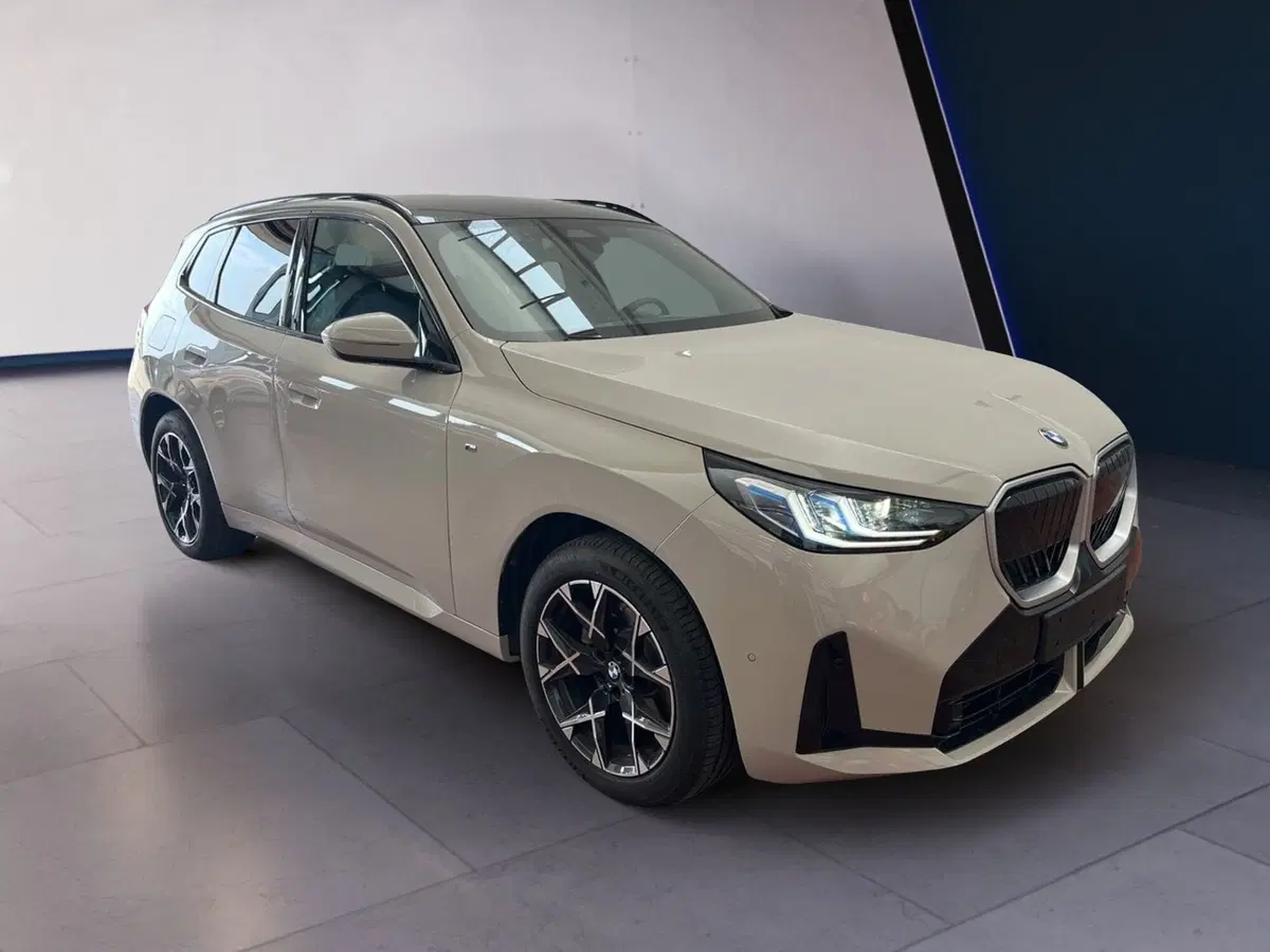 BMW X3 usata a Torino (2)