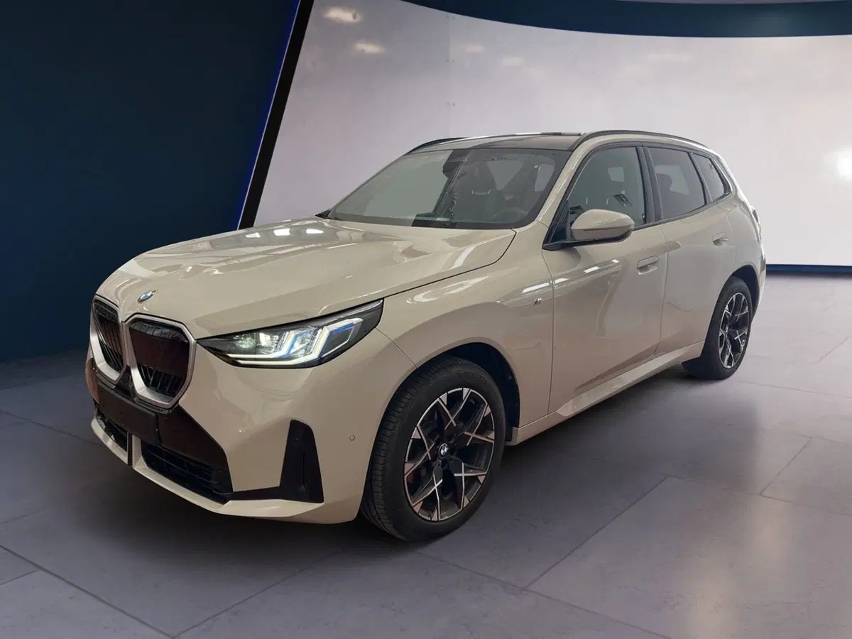 BMW X3 usata a Torino (3)
