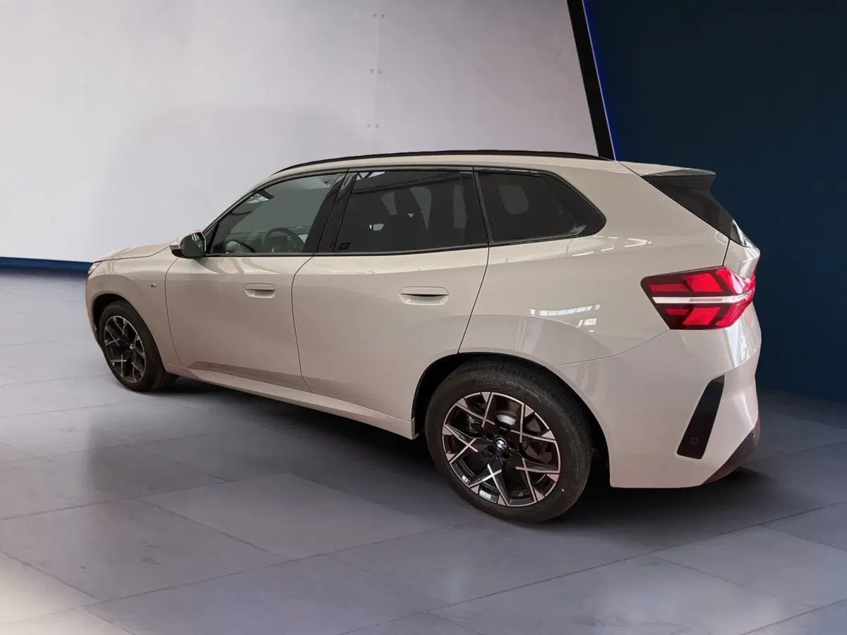 BMW X3 usata a Torino (4)
