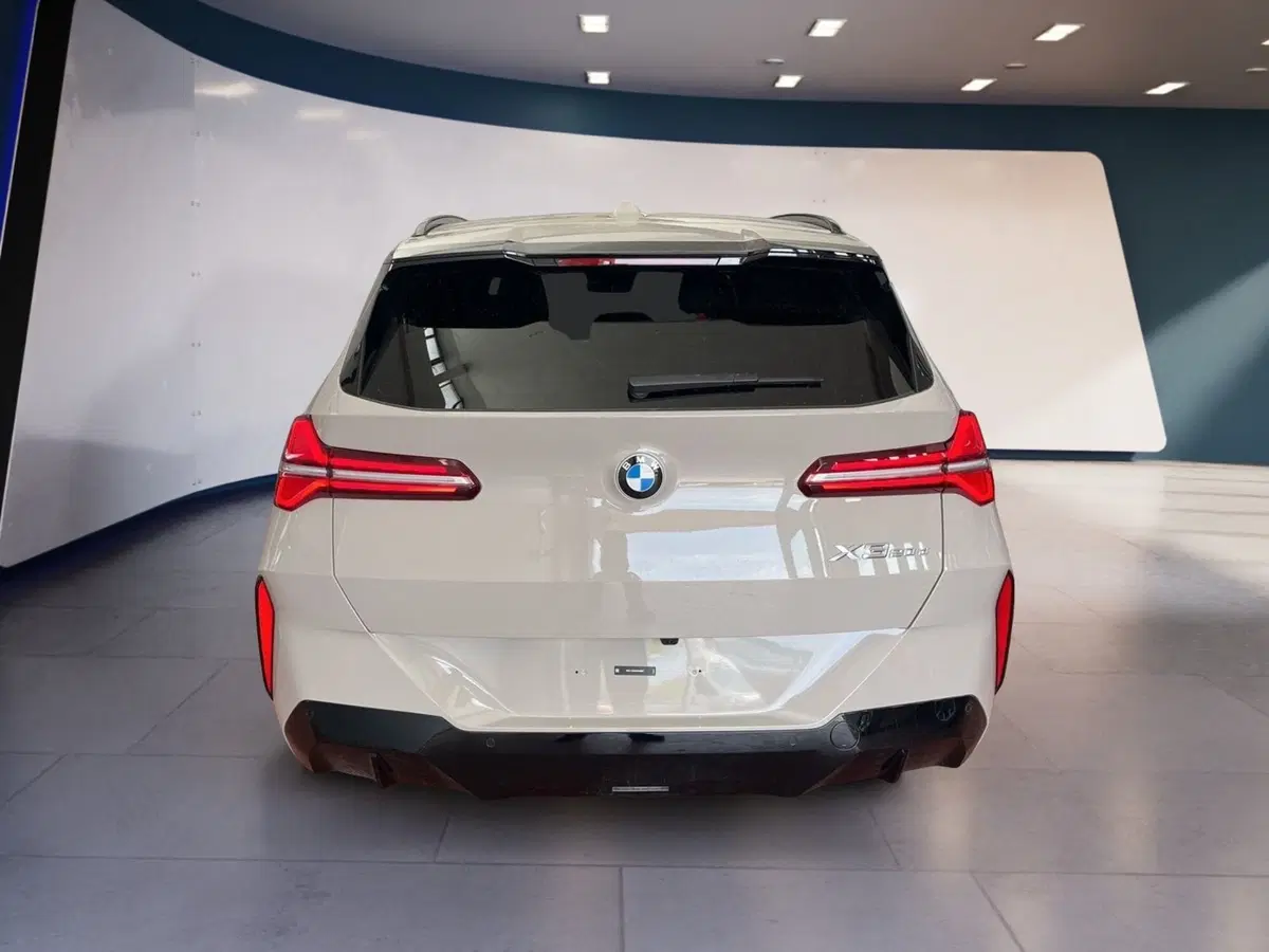 BMW X3 usata a Torino (5)