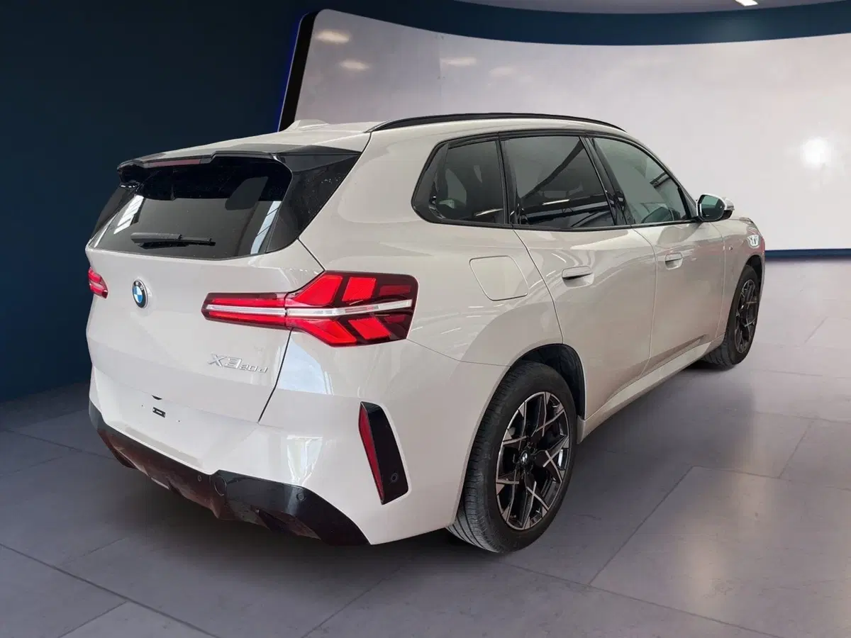 BMW X3 usata a Torino (6)