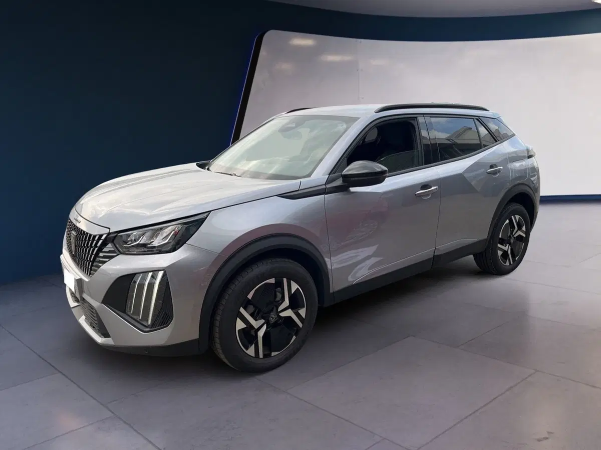 Peugeot 2008 usata a Torino (2)