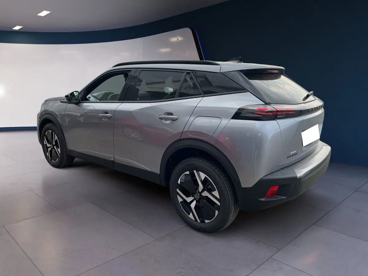 Peugeot 2008 usata a Torino (3)