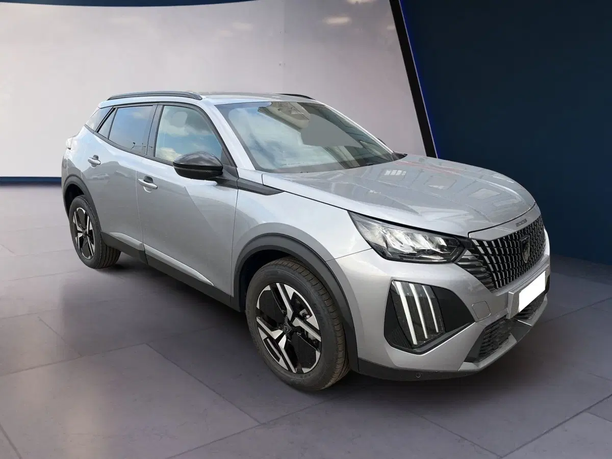 Peugeot 2008 usata a Torino (6)