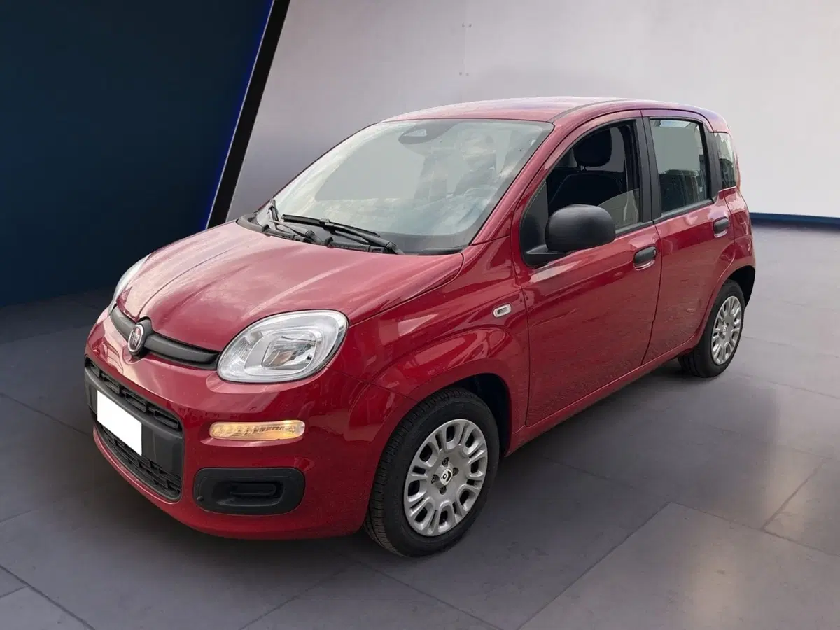 Fiat Pandina usata a Torino (2)