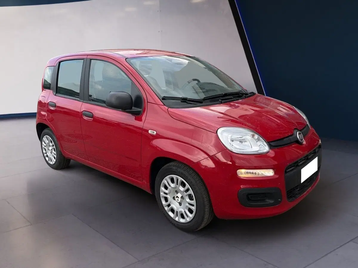 Fiat Pandina usata a Torino (3)