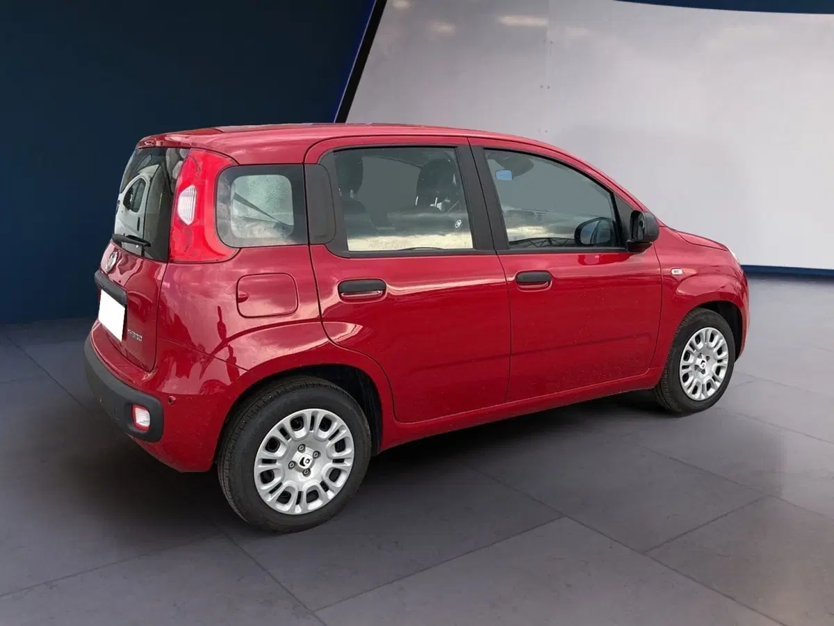 Fiat Pandina usata a Torino (4)
