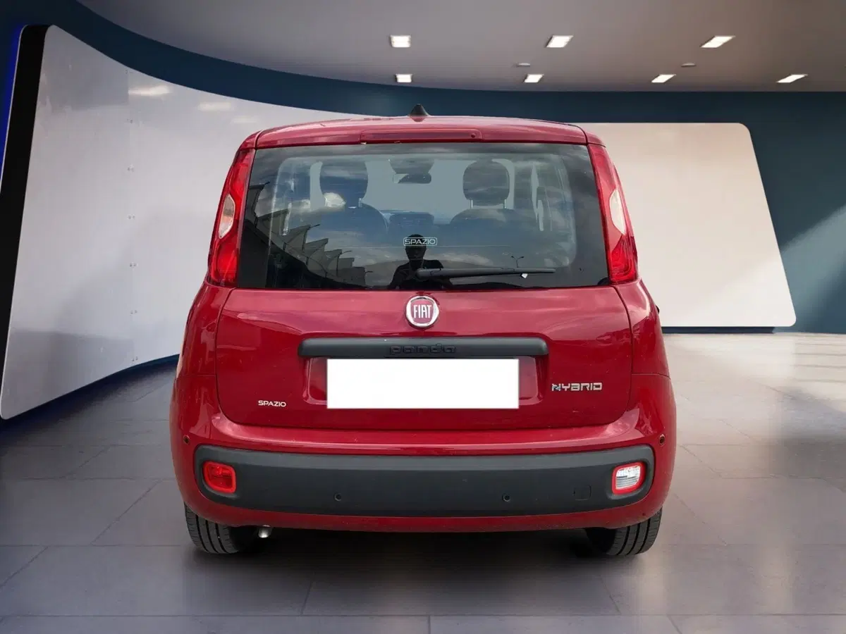 Fiat Pandina usata a Torino (5)