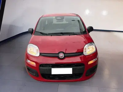 Fiat Pandina 1.0 firefly hybrid s&s 70cv del 2025 usata a Torino