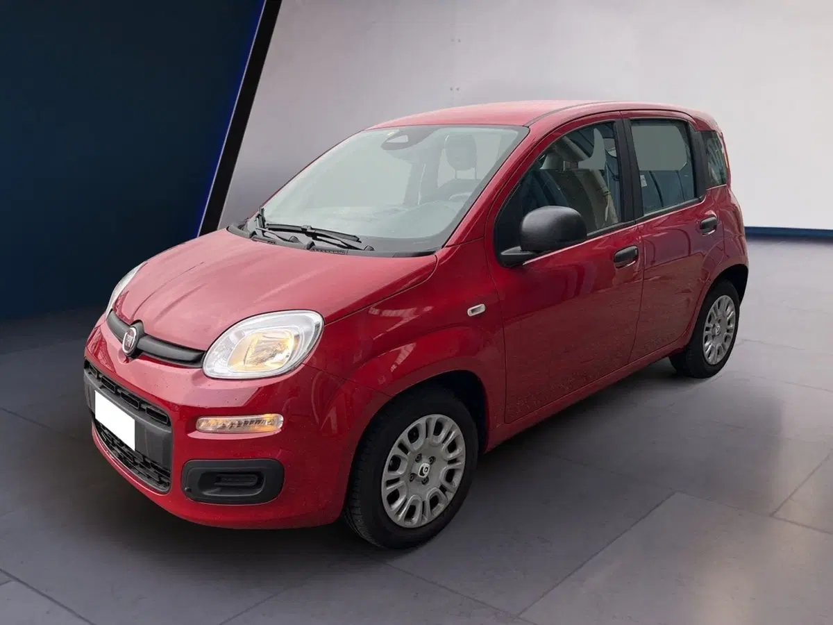 Fiat Pandina usata a Torino (2)