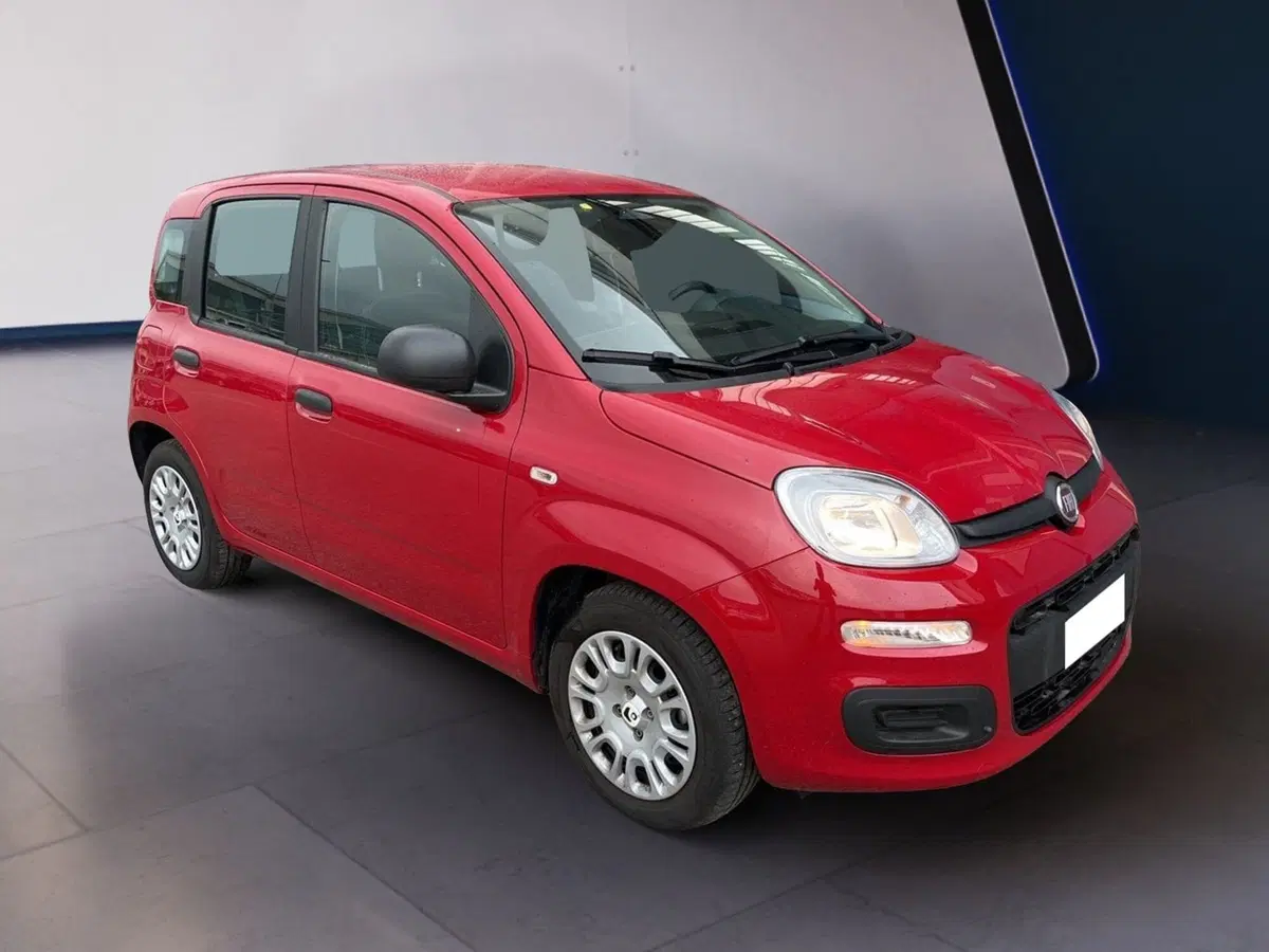 Fiat Pandina usata a Torino (3)
