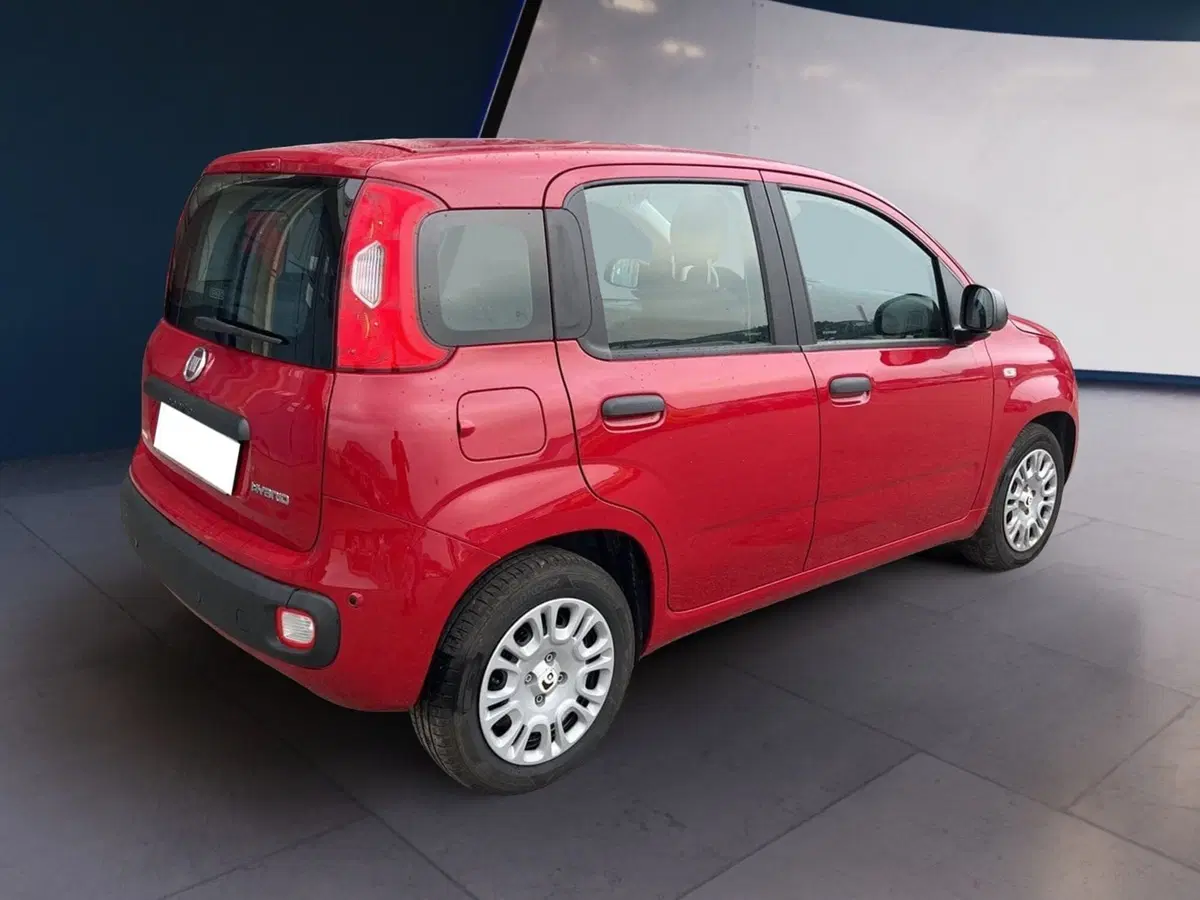 Fiat Pandina usata a Torino (4)