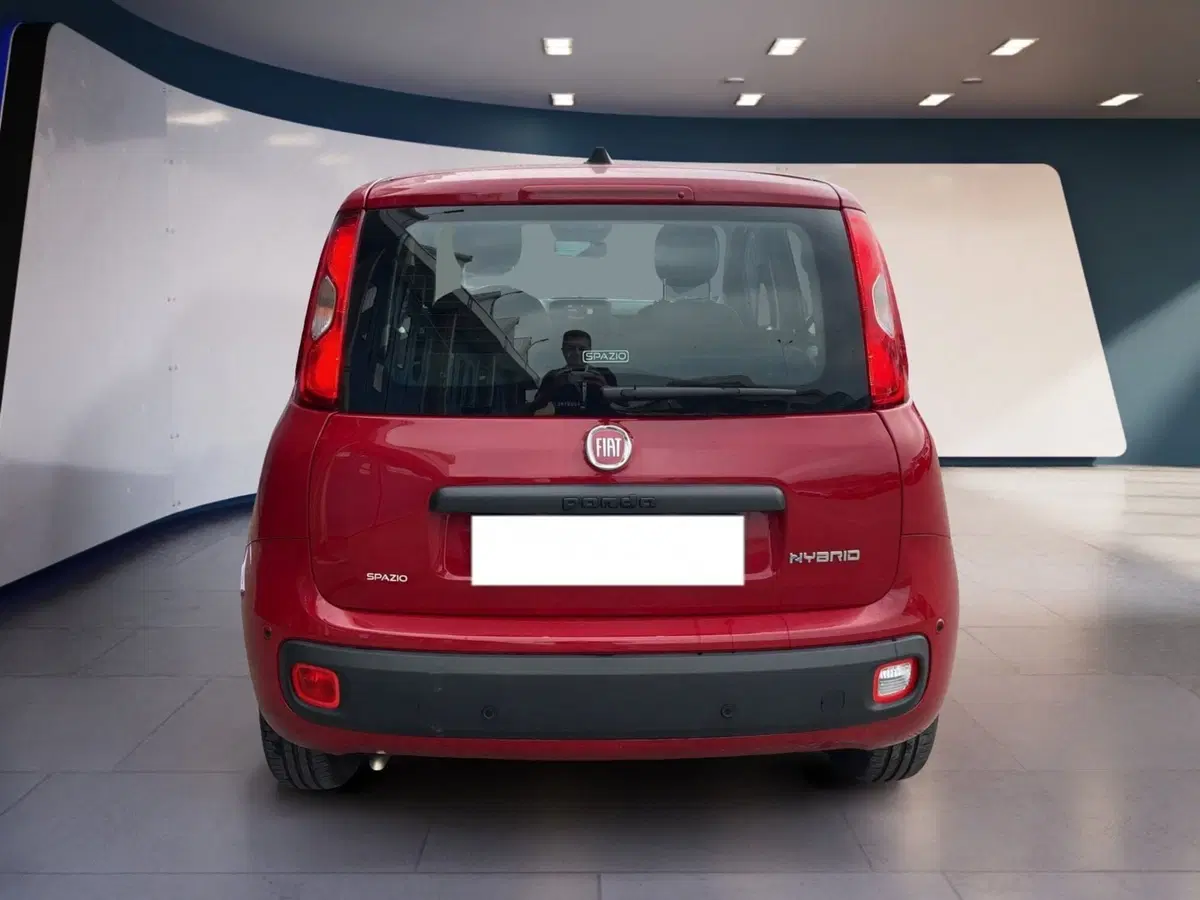 Fiat Pandina usata a Torino (5)