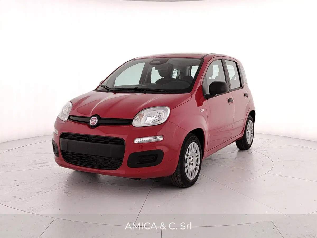 Fiat Pandina nuova a Caserta (3)