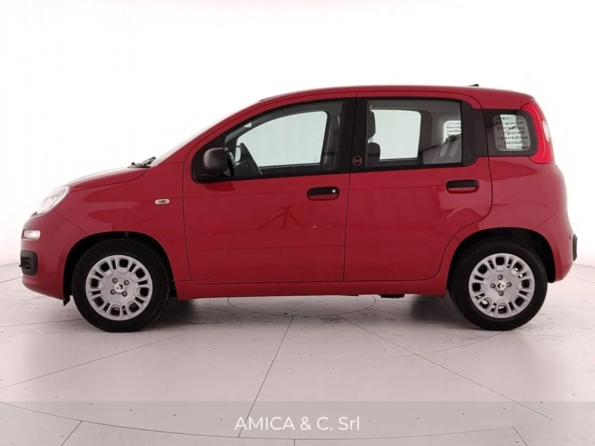 Fiat Pandina nuova a Caserta (4)