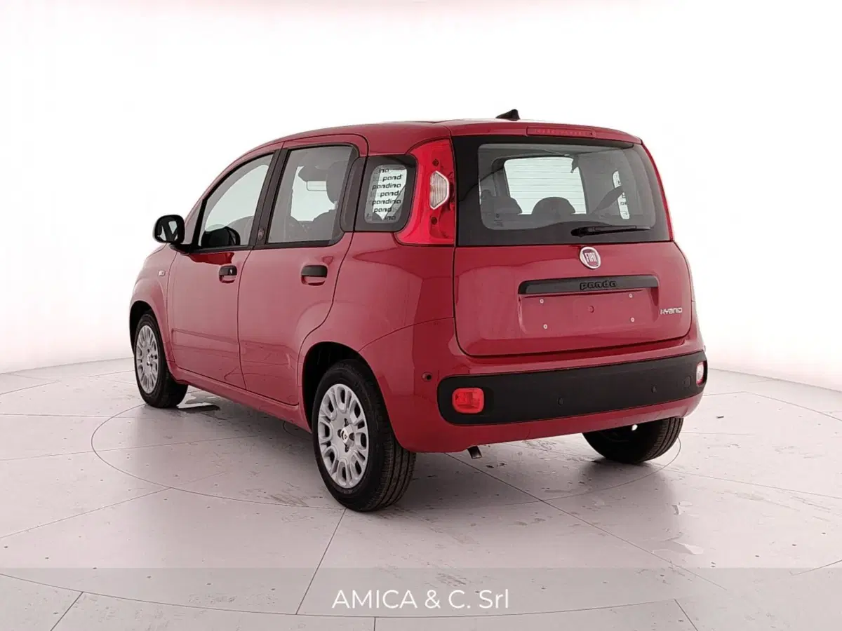 Fiat Pandina nuova a Caserta (5)
