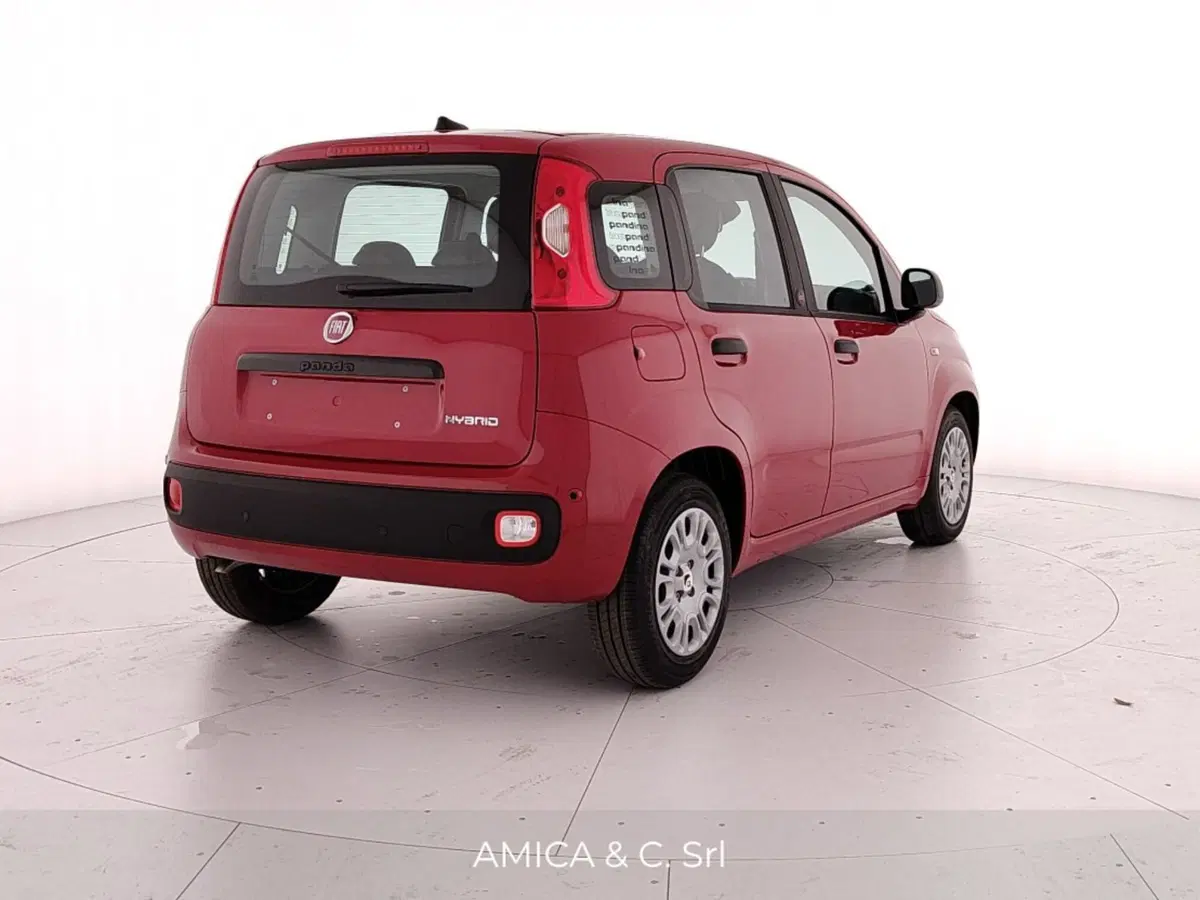 Fiat Pandina nuova a Caserta (7)