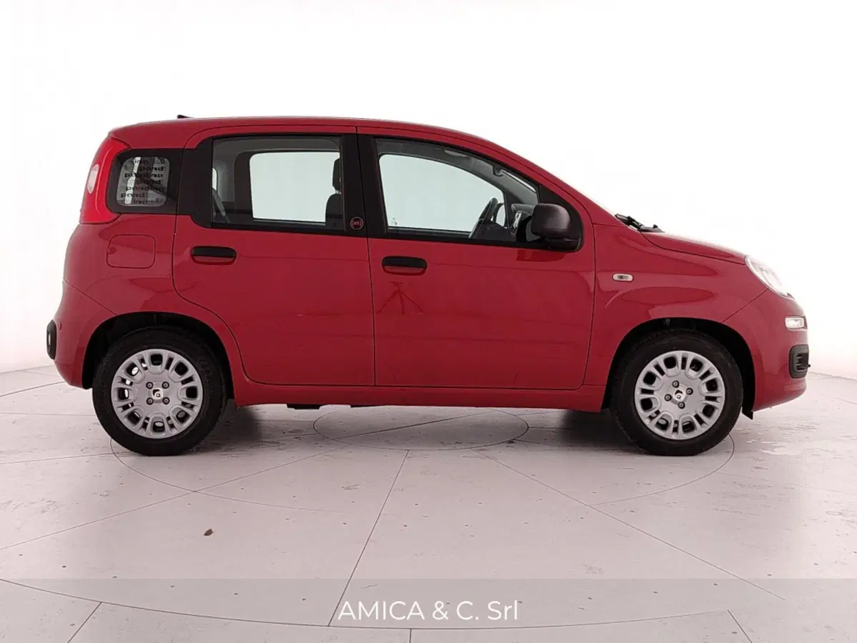 Fiat Pandina nuova a Caserta (8)