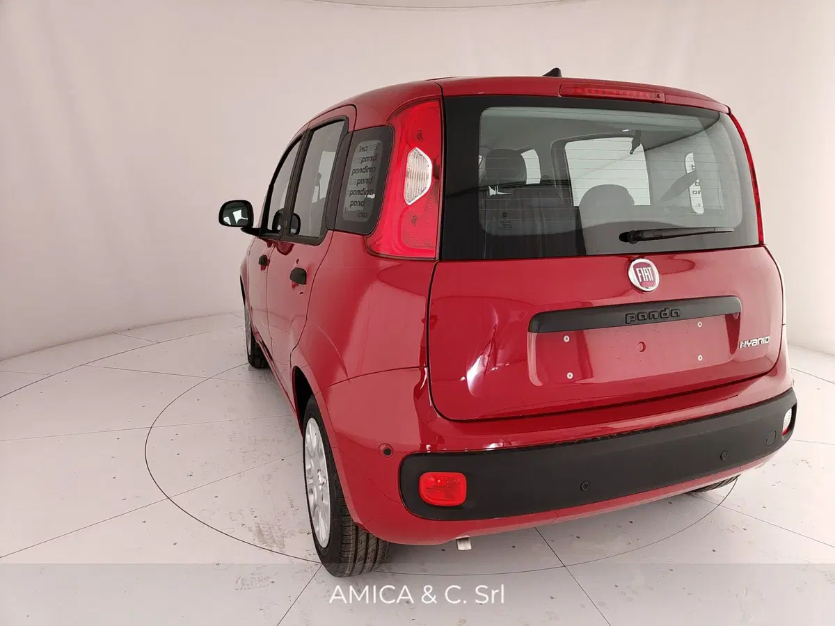 Fiat Pandina nuova a Caserta (9)