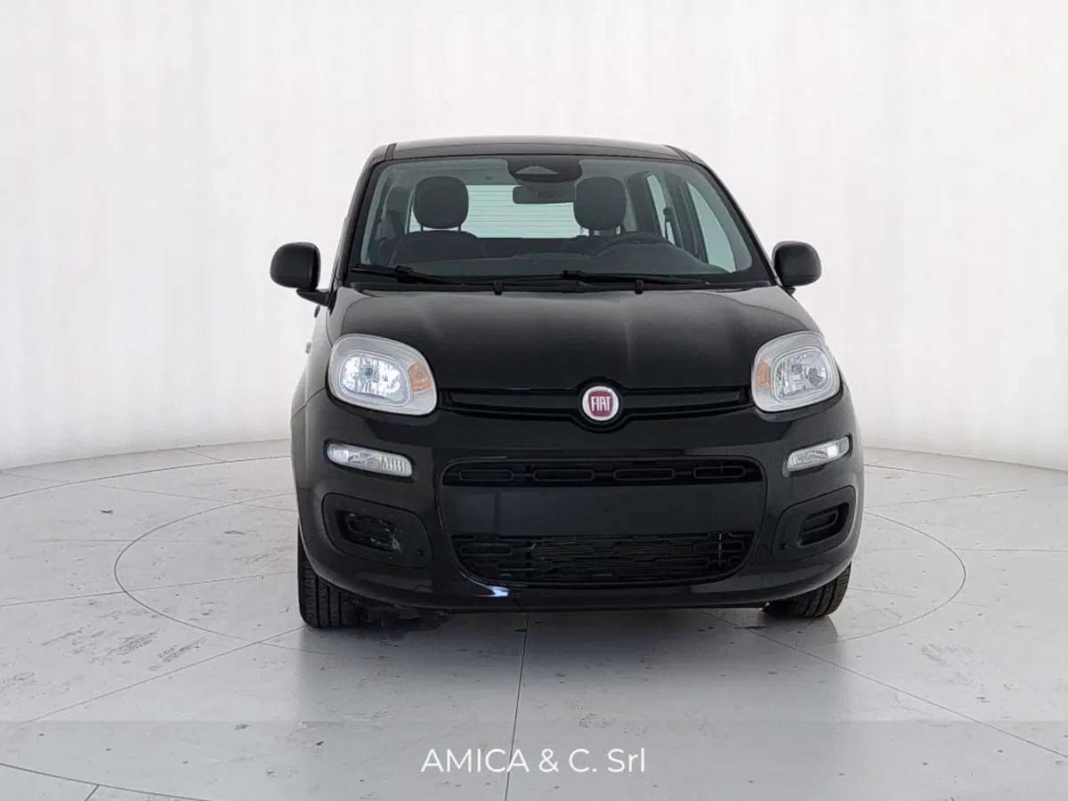 Fiat Pandina nuova a Caserta (2)