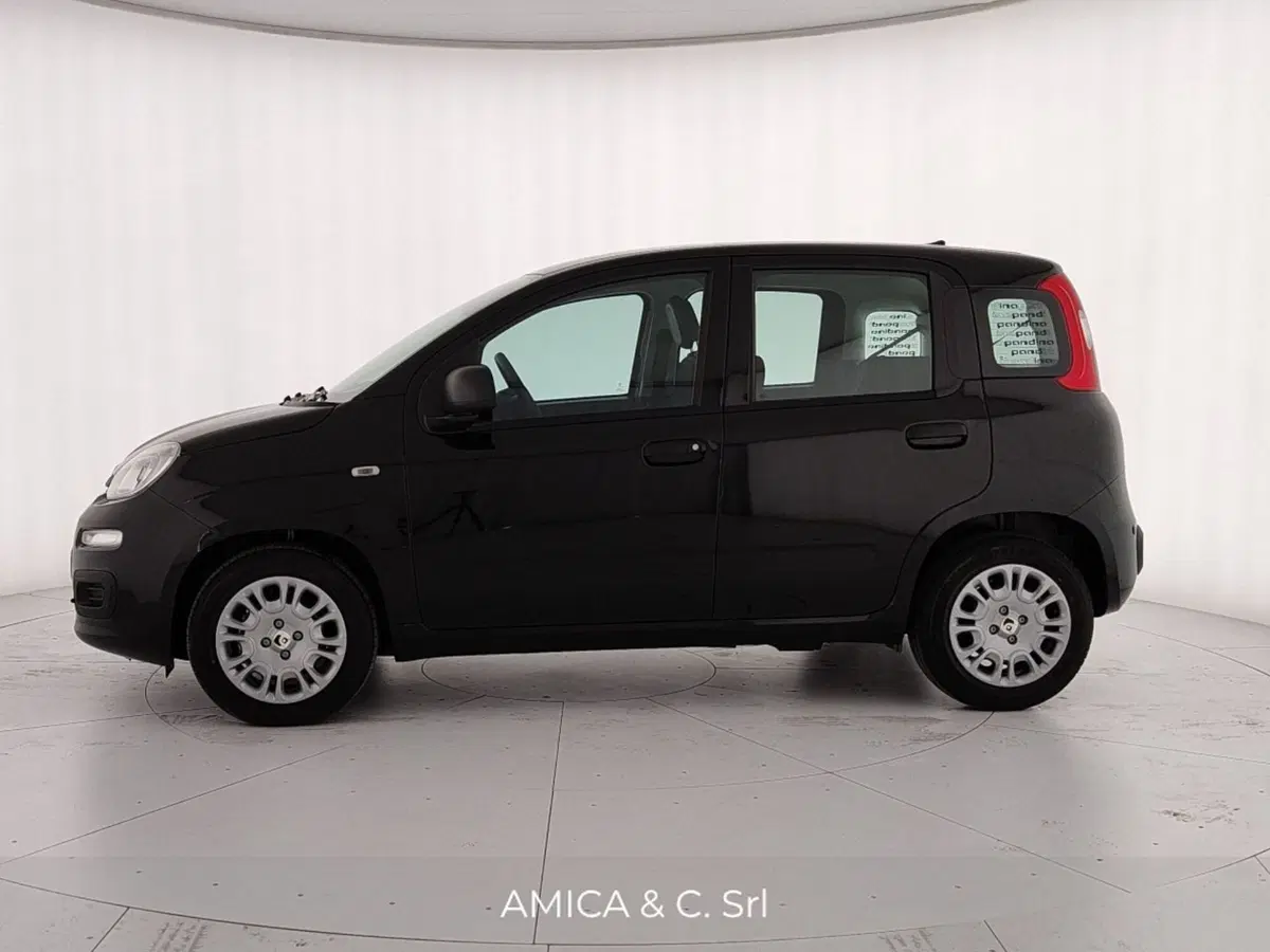 Fiat Pandina nuova a Caserta (4)