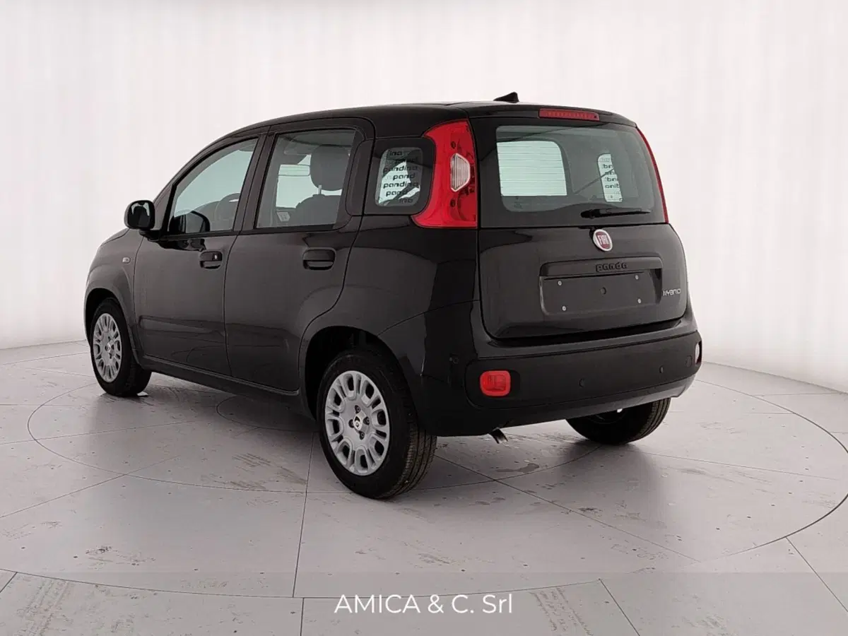 Fiat Pandina nuova a Caserta (5)