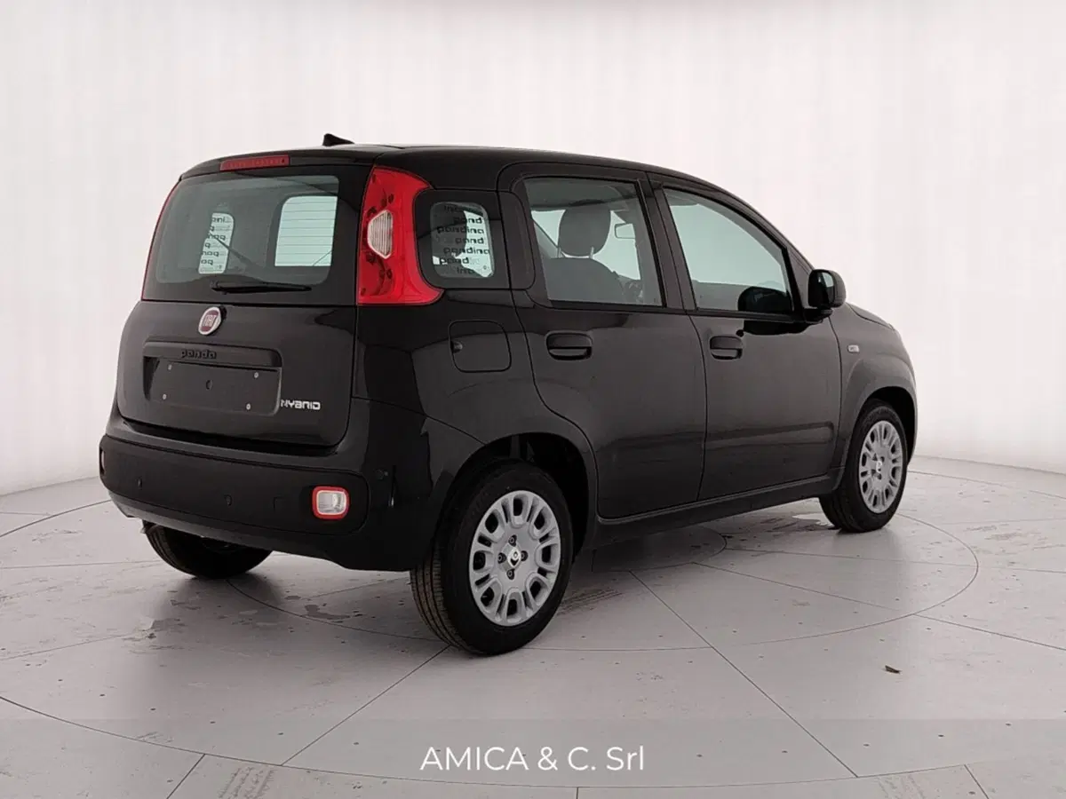 Fiat Pandina nuova a Caserta (7)
