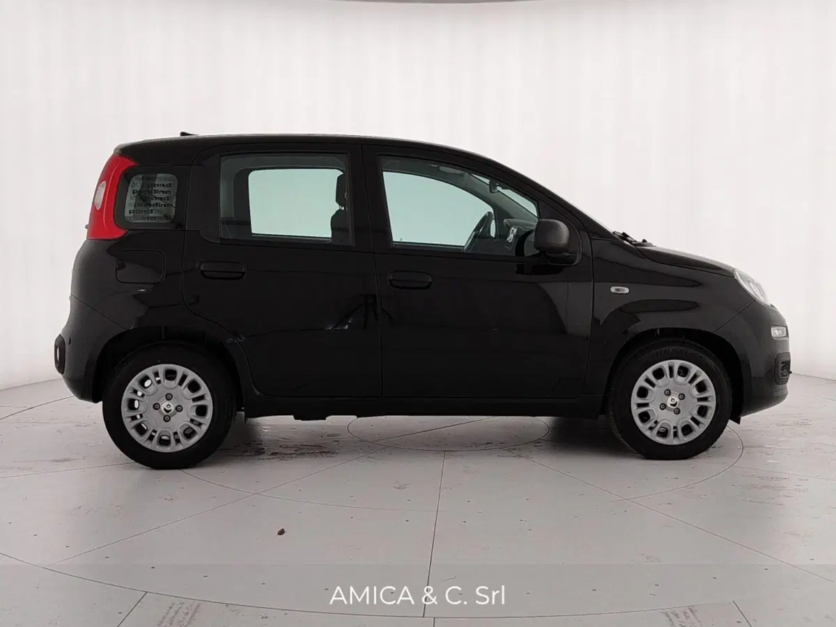 Fiat Pandina nuova a Caserta (8)