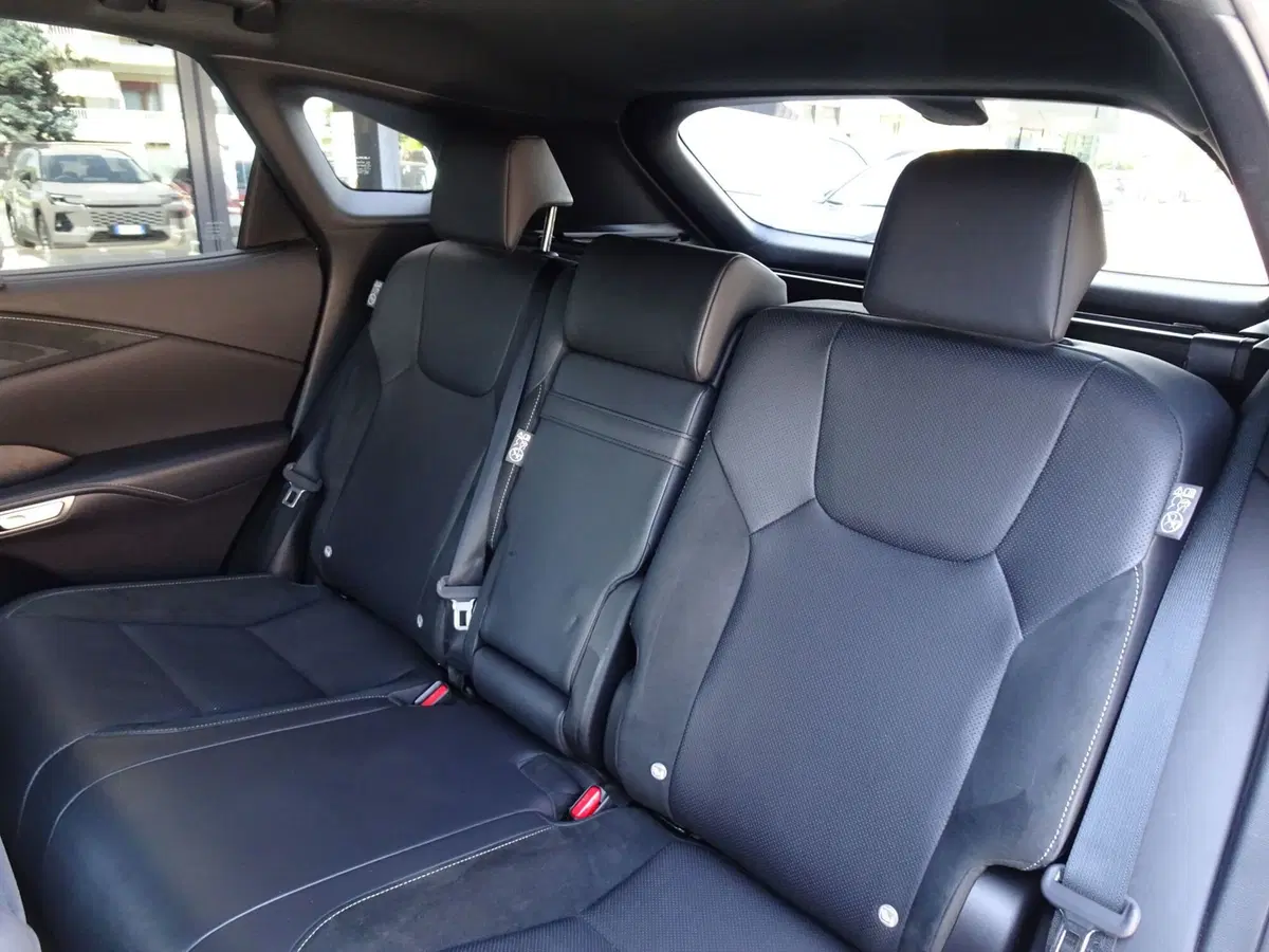 Lexus RX usata a Padova (12)