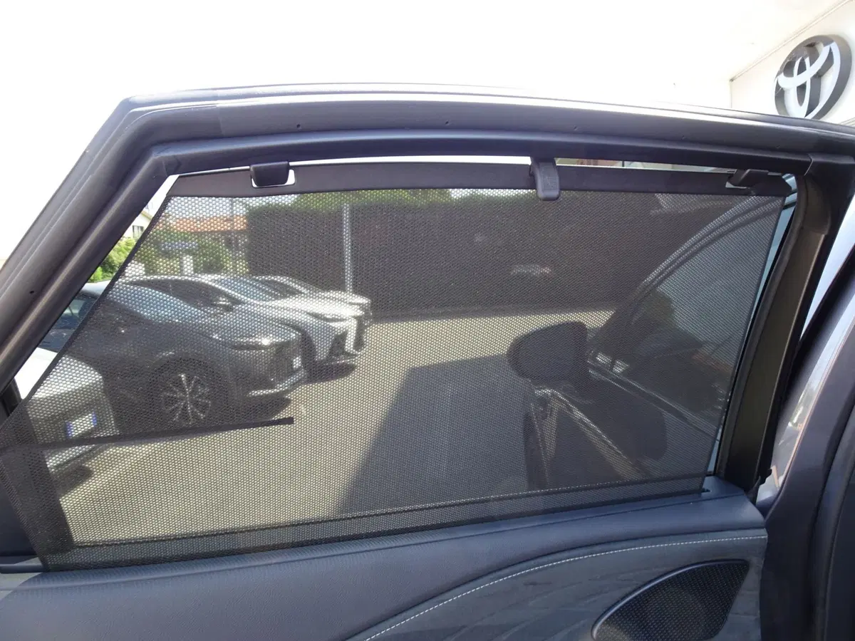 Lexus RX usata a Padova (16)