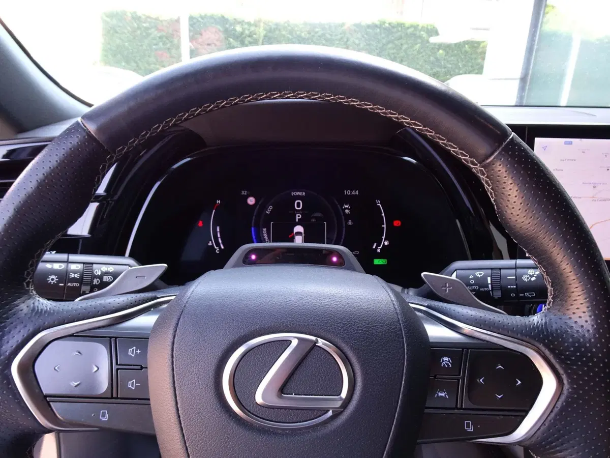 Lexus RX usata a Padova (18)