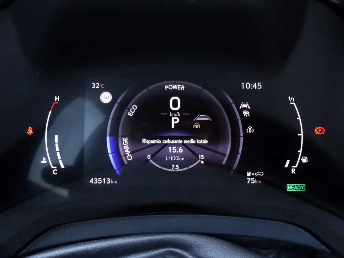 Lexus RX usata a Padova (19)