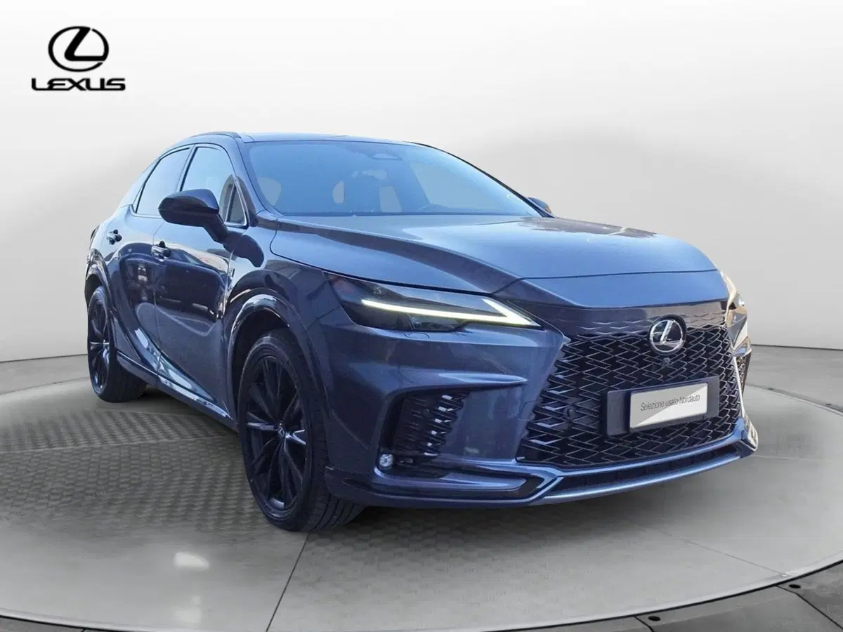 Lexus RX usata a Padova (3)
