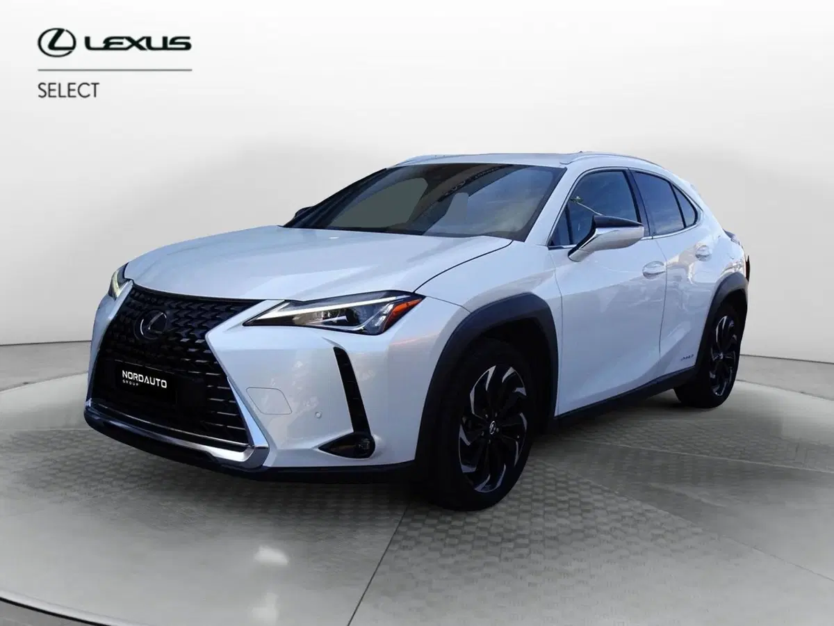 Lexus UX usata a Venezia