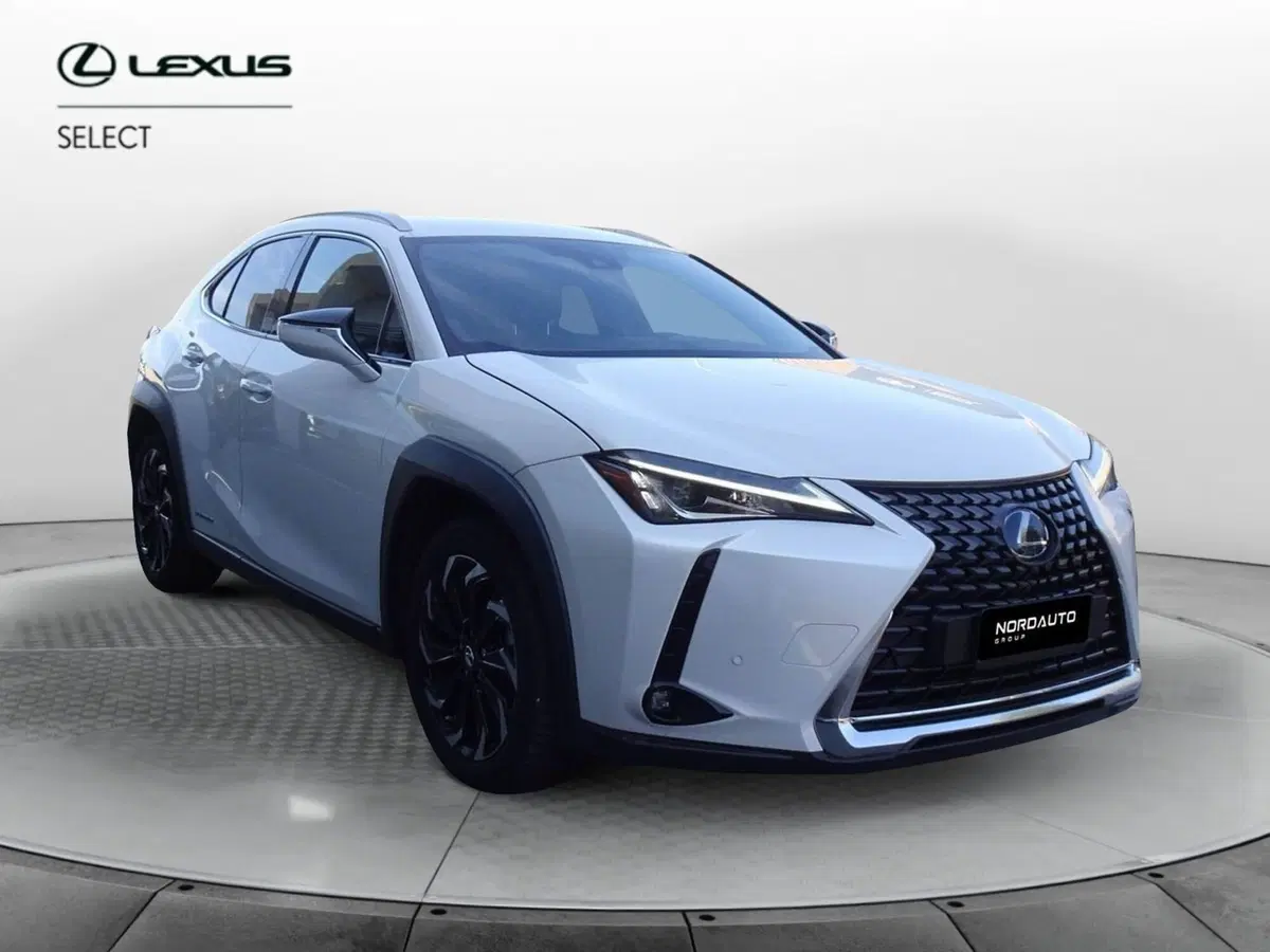 Lexus UX usata a Venezia (2)