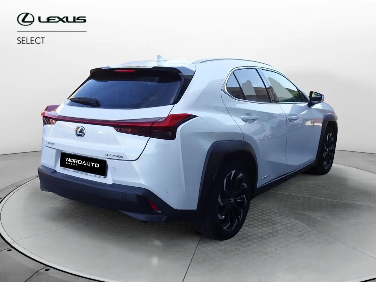 Lexus UX usata a Venezia (3)