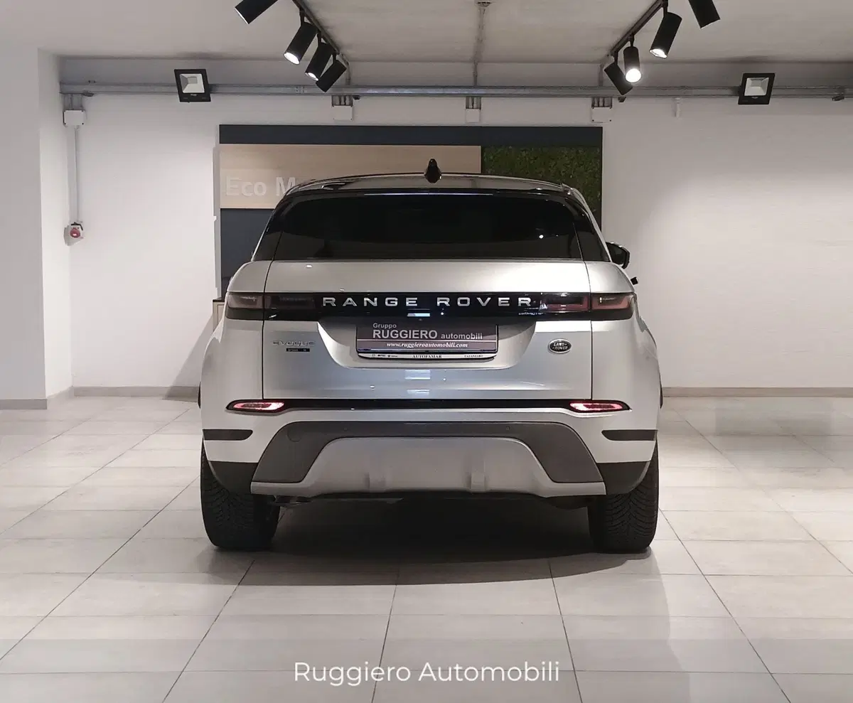 Land Rover Range Rover Evoque usata a Catanzaro (8)