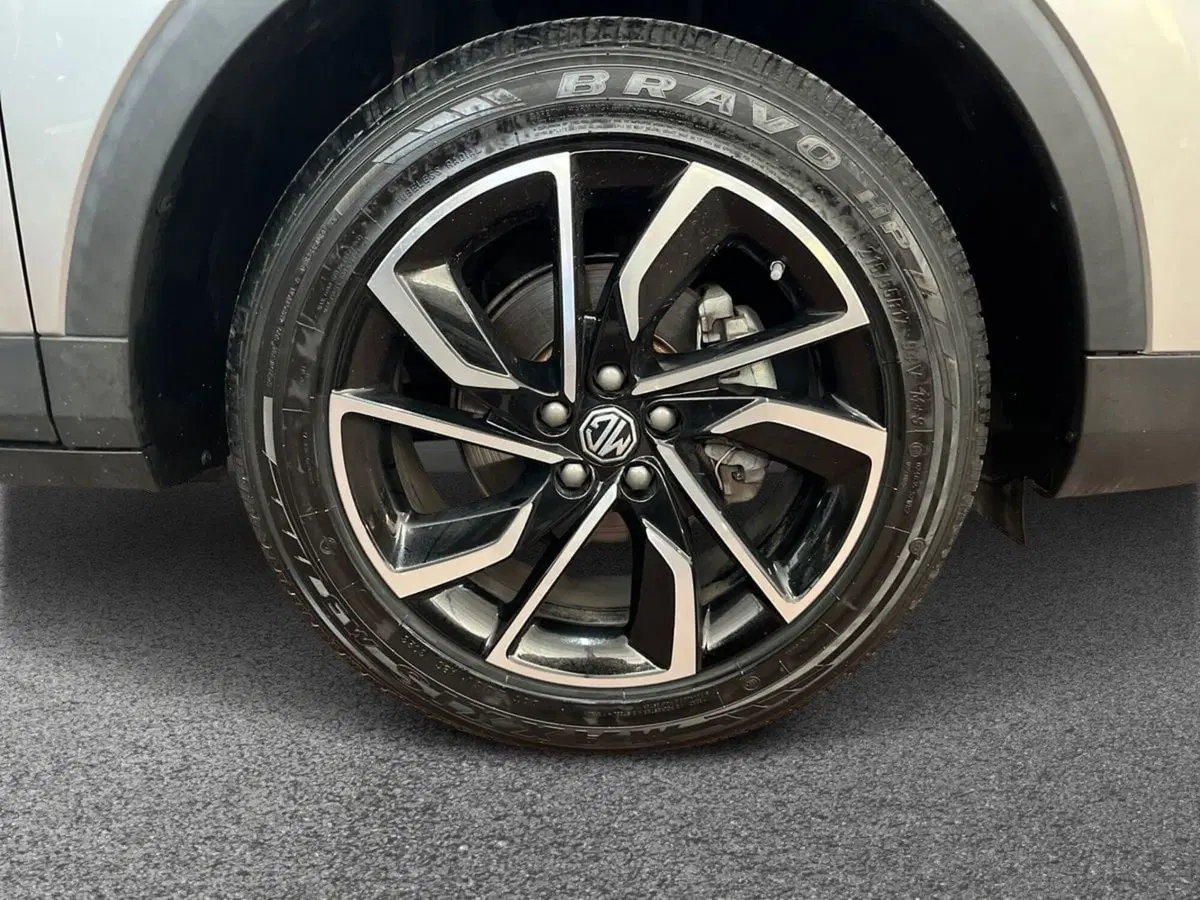 Mg ZS usata a Bari (6)