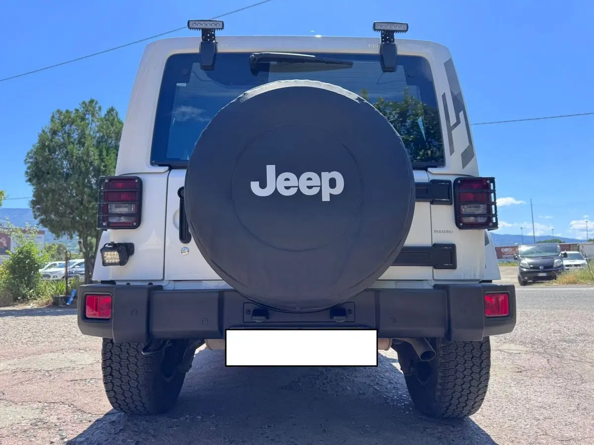 Jeep Wrangler Unlimited usata a Cosenza (13)
