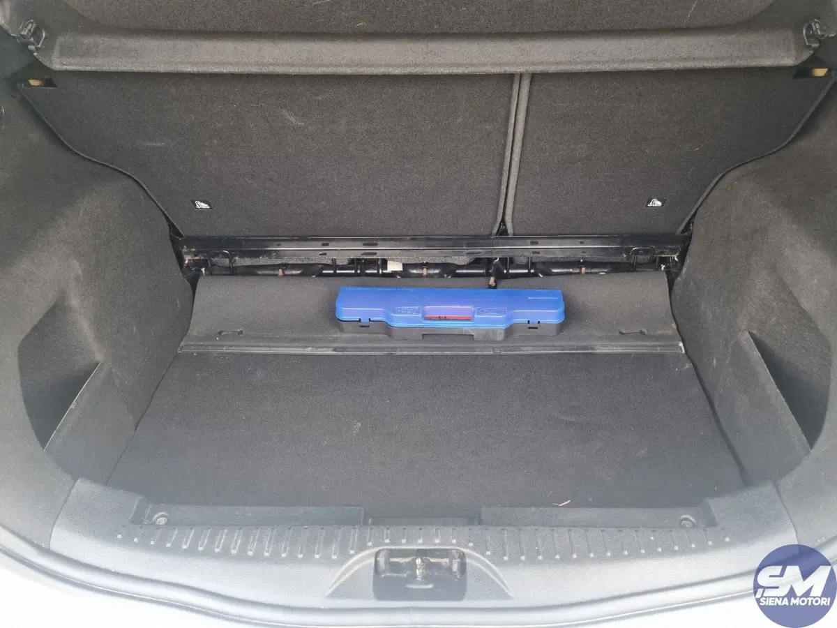 Ford B-Max usata a Siena (18)